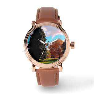 Autumn trees watch