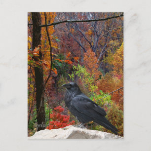 Autumn Trees with Crow Seasonal Postcard