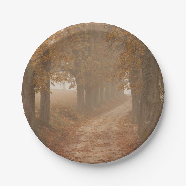 Autumn Trees Woodland Path Photo Paper Plate (Front)