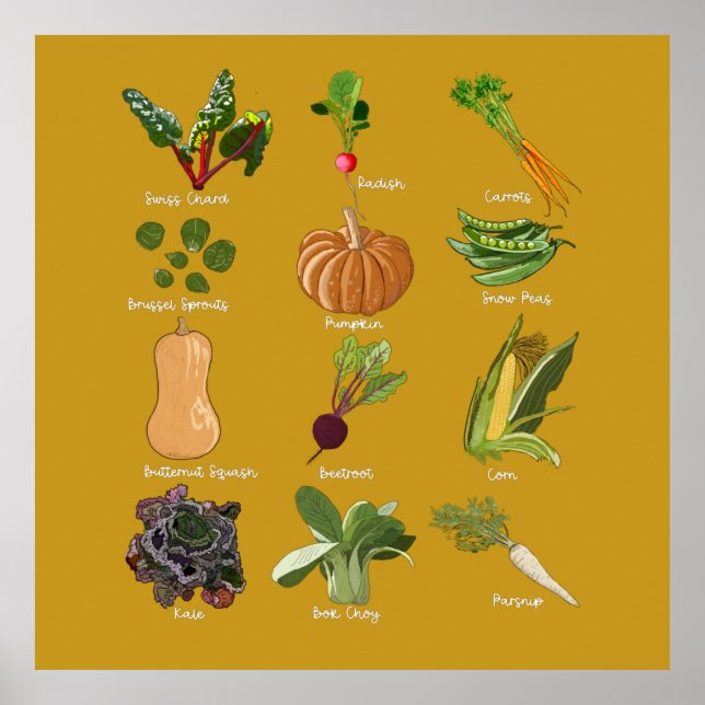 Autumn Veggies Fall Vegetable Harvest Poster (Front)