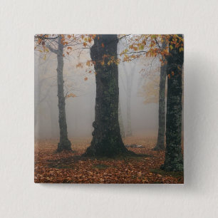 Autumn view of foggy forest, Grandfather 2 15 Cm Square Badge