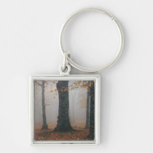 Autumn view of foggy forest, Grandfather 2 Key Ring