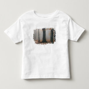 Autumn view of foggy forest, Grandfather 2 Toddler T-Shirt