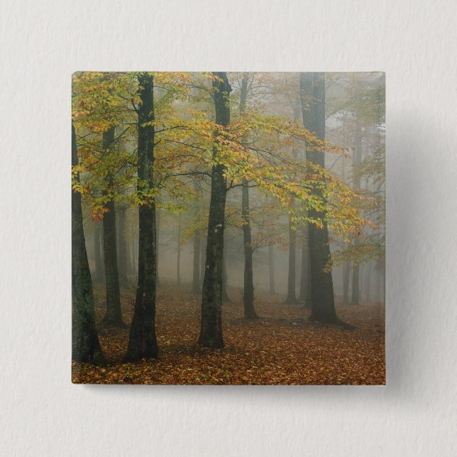 Autumn view of foggy forest, Grandfather 3 15 Cm Square Badge (Front)