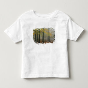 Autumn view of foggy forest, Grandfather 3 Toddler T-Shirt