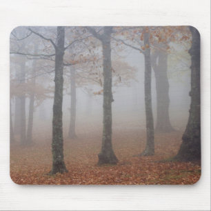 Autumn view of foggy forest, Grandfather Mouse Pad