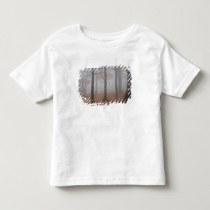 Autumn view of foggy forest, Grandfather Toddler T-Shirt