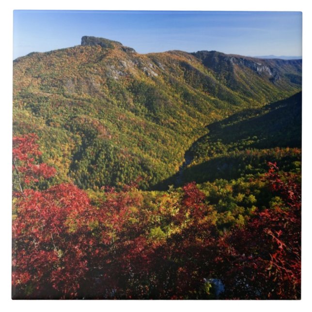 Autumn view of Linville Gorge often called the Ceramic Tile (Front)