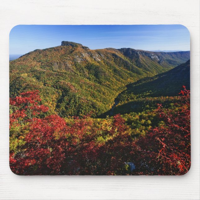 Autumn view of Linville Gorge often called the Mouse Pad (Front)