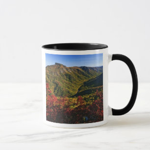 Autumn view of Linville Gorge often called the Mug