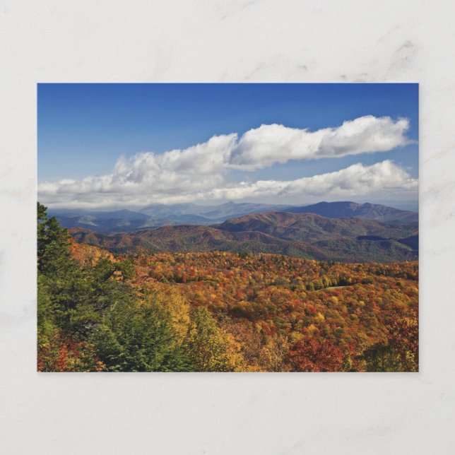 Autumn view of Southern Appalachian Mountains Postcard (Front)