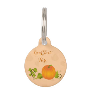 Autumn Vine Pumpkin with Customisable Text Pet Tag