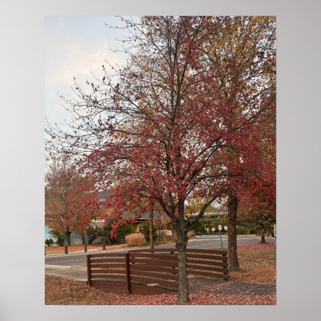 Autumn Walking Bridge Poster (Front)