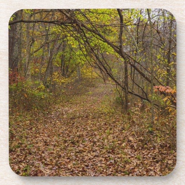 Autumn Walkway Coaster (Front)