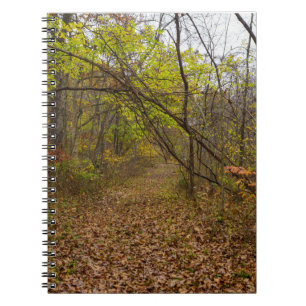 Autumn Walkway Notebook