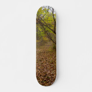 Autumn Walkway Skateboard