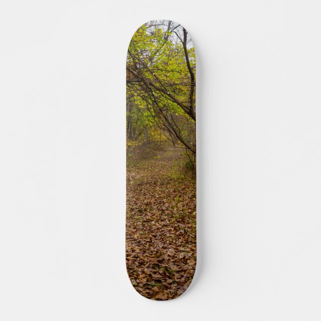 Autumn Walkway Skateboard (Front)