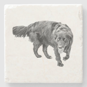 Autumn Watch Beneath the Leaves Stone Coaster