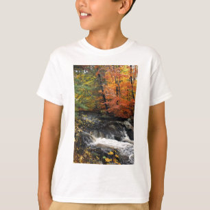 Autumn Waterfall T-Shirt