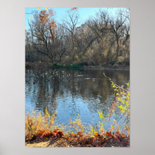 Autumn Waterscape Poster