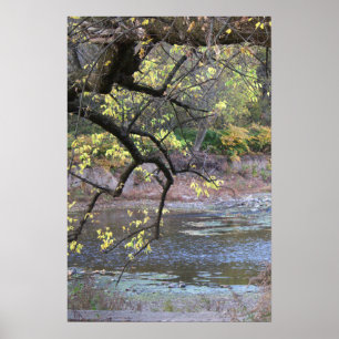 Autumn Waterscape Poster
