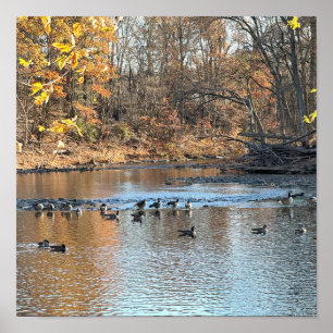 Autumn Waterscape with Birds Poster