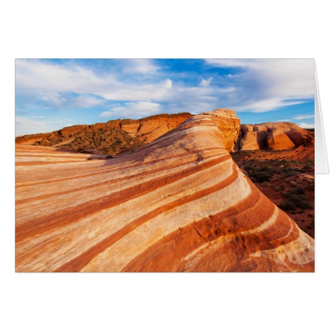 Autumn Wave (Front Horizontal)