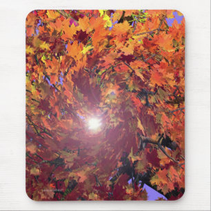 Autumn Whirl Mouse Pad