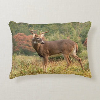 Autumn Whitetail Buck Decorative Cushion