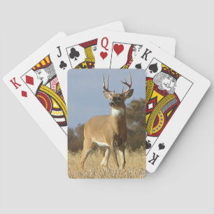 Autumn Whitetail Buck Playing Cards