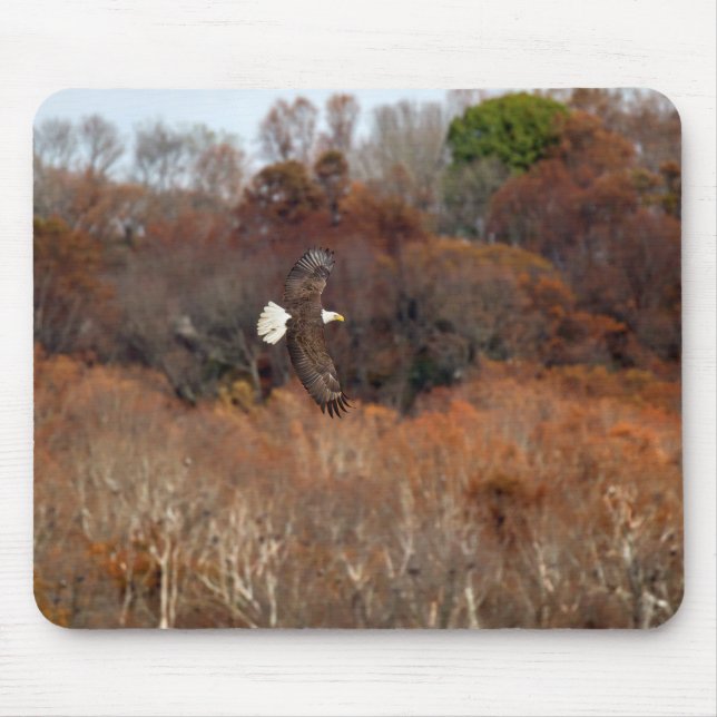 Autumn Wings Mouse Pad (Front)