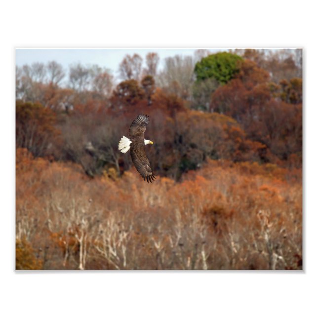Autumn Wings Photo Print (Front)
