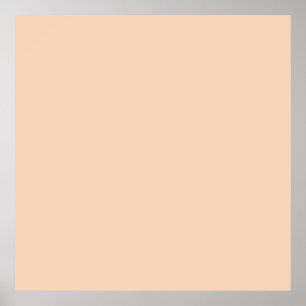Autumn Winter Color Tender Peach Poster
