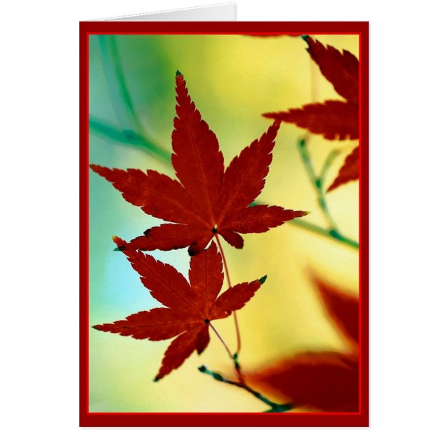 AUTUMN WISHES (Front)