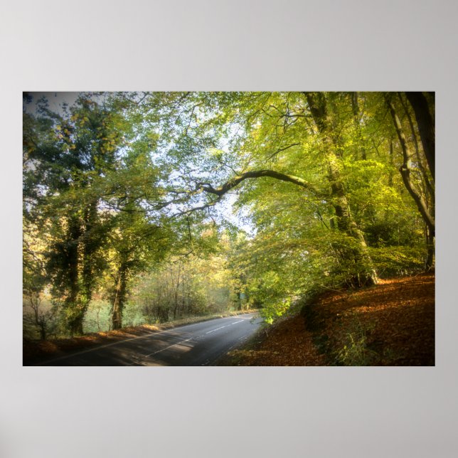 Autumn Woodland (4316) Poster (Front)