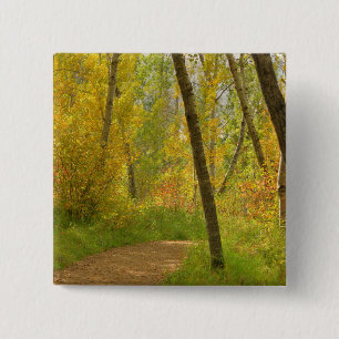 Autumn Woodlands 15 Cm Square Badge