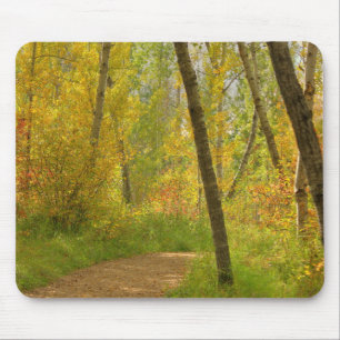 Autumn Woodlands Mouse Pad