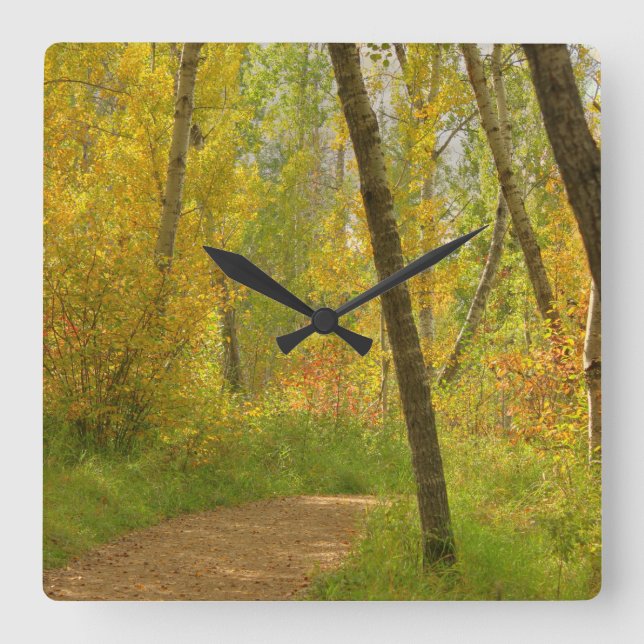 Autumn Woodlands Square Wall Clock (Front)