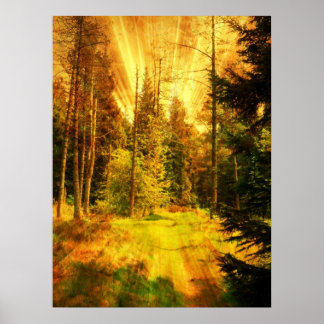 Autumn Woods Fire Storm. Poster