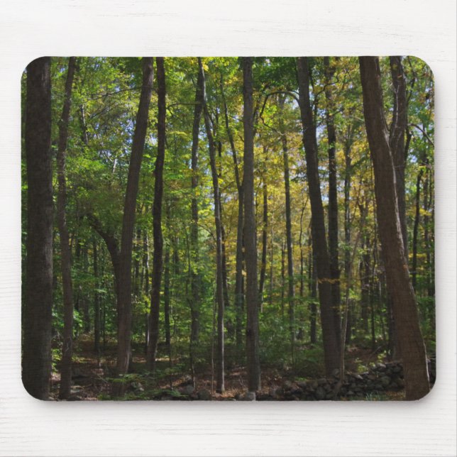 Autumn Woods Mousepad (Front)