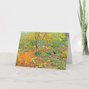 "Autumn Woods" (photog./ digital manip.) Card