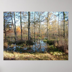 Autumn Woods Poster