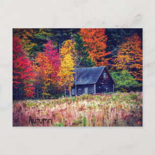 Autumn Woods Shack Postcard