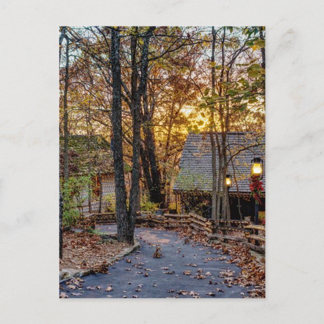Autumn Woods Sunset Walkway Postcard (Front)