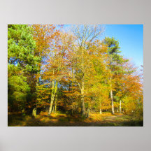 Autumn Woods & Sunshine - Personalized