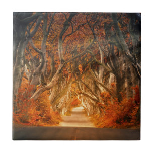 Autumn Woods Thicket Path Ceramic Tile