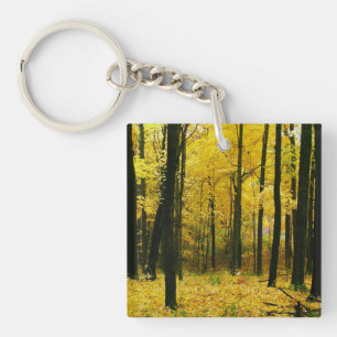 Autumn Yellow Forest Key Ring