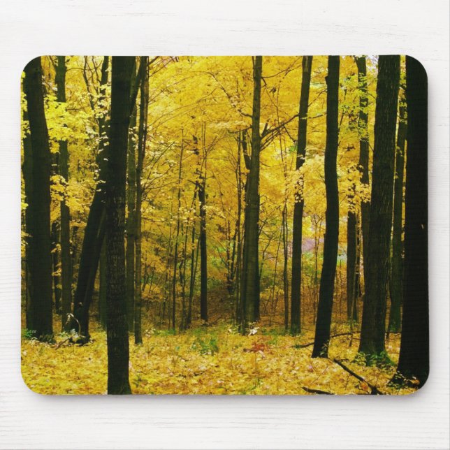 Autumn Yellow Forest Mouse Pad (Front)