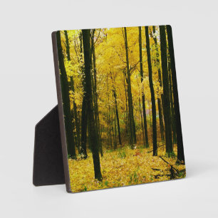 Autumn Yellow Forest Plaque