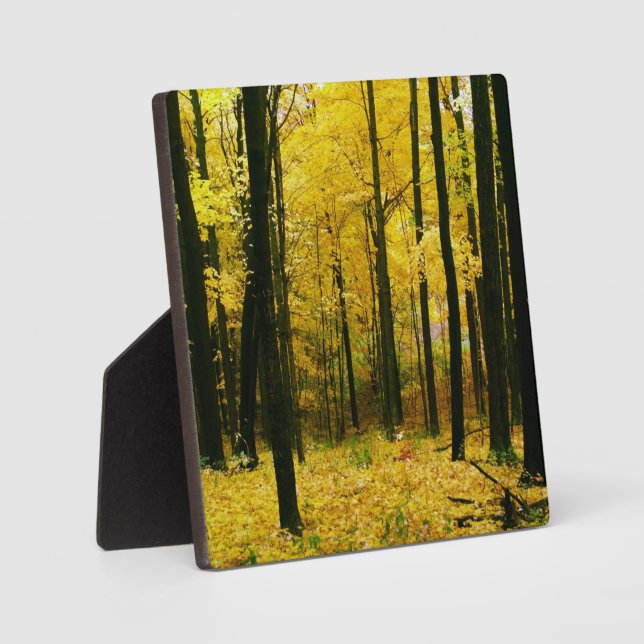 Autumn Yellow Forest Plaque (Front)